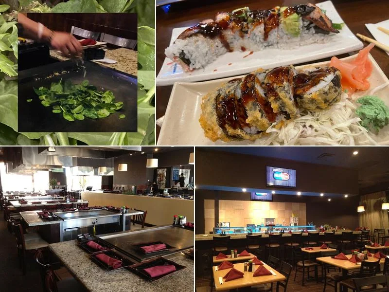 Ryu Sushi & Teppanyaki business photo